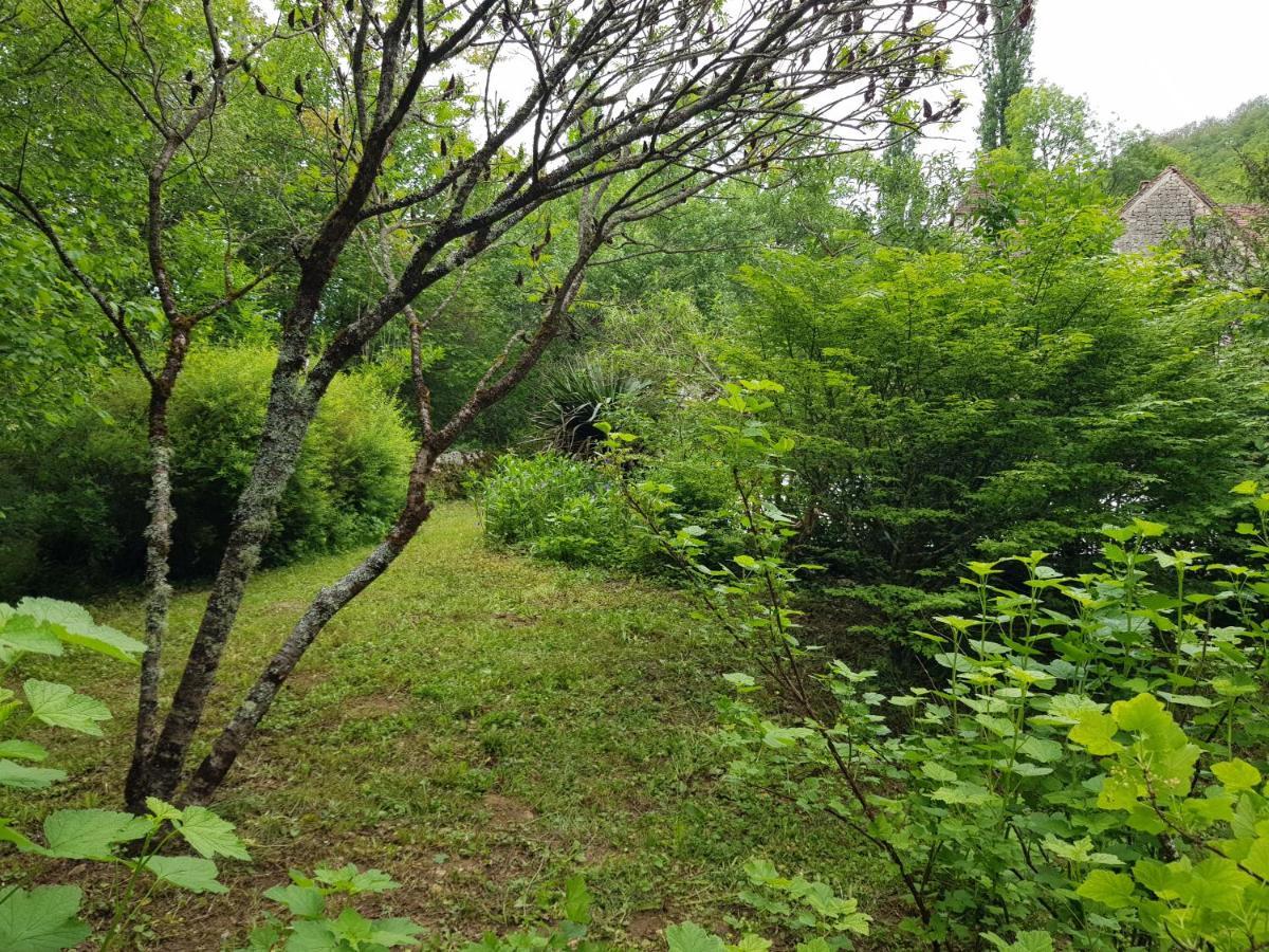MuratLe Moulin De Jules Et Akasha住宿加早餐旅馆 外观 照片